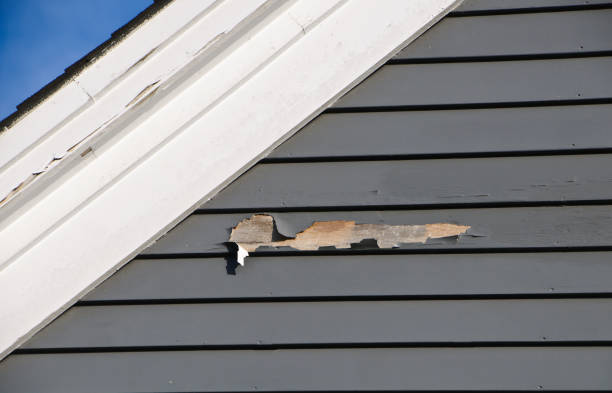 Best Property Management Cleanouts  in Houghton, MI